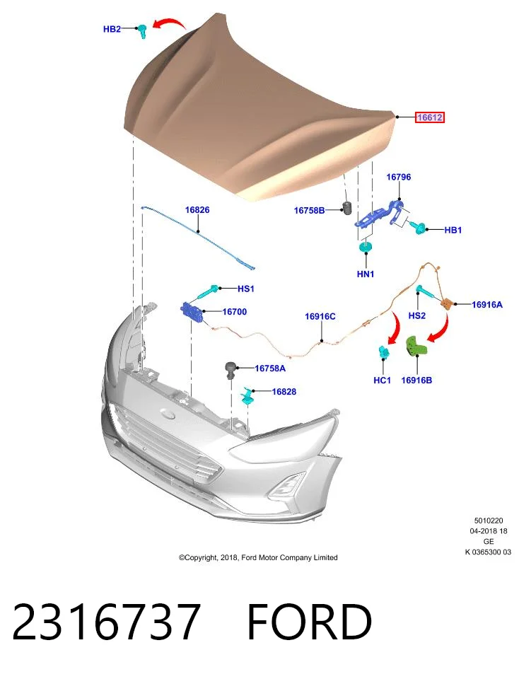 Capota Ford PJX7BA16610CA