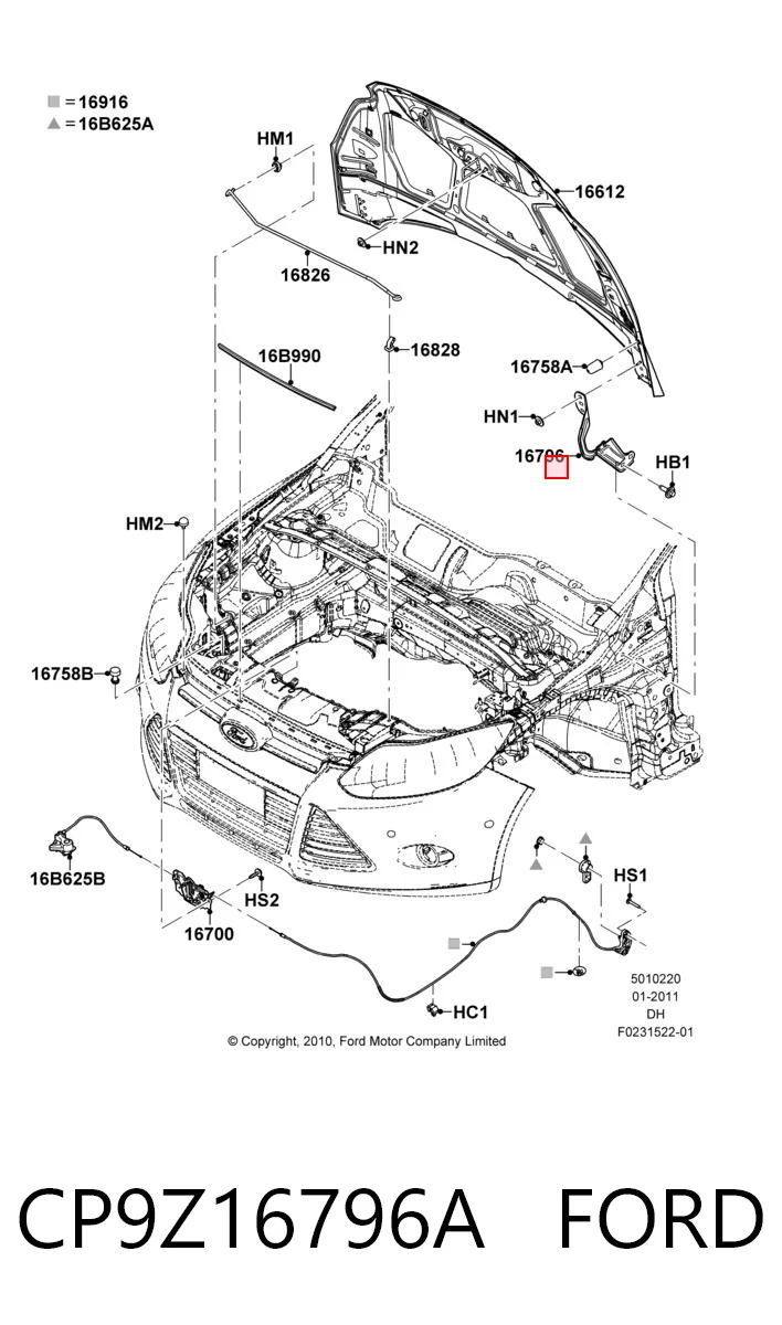 CP9Z16796A Ford Gozno da capota direito