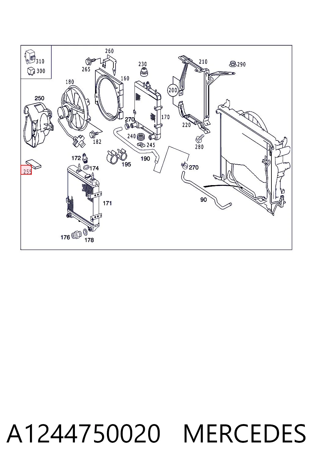 A1244750020 Mercedes