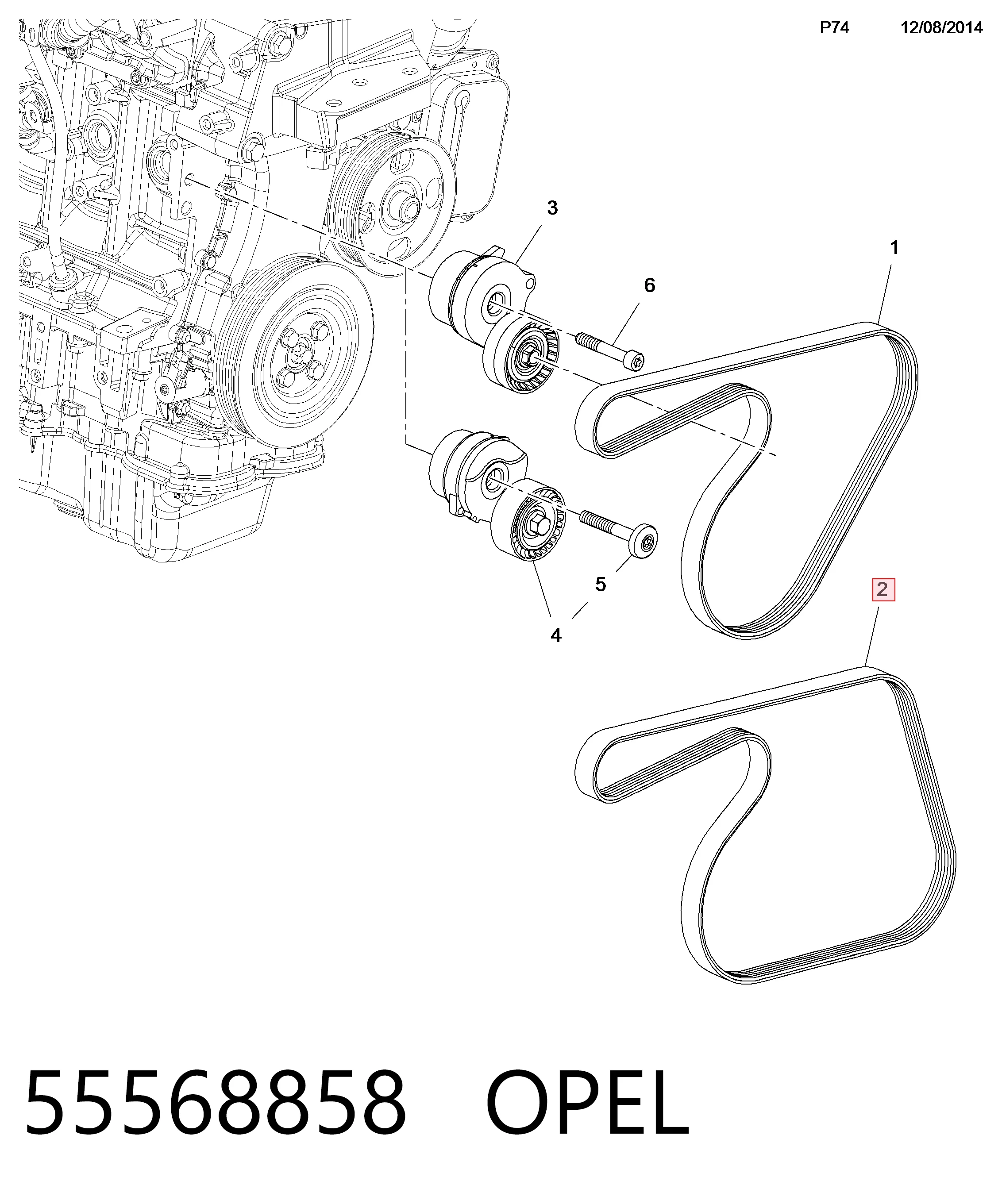55568858 Opel