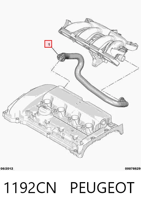 1192CN Peugeot/Citroen Cano derivado de ventilação de cárter (de separador de óleo)