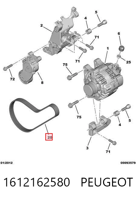 1612162580 Peugeot/Citroen