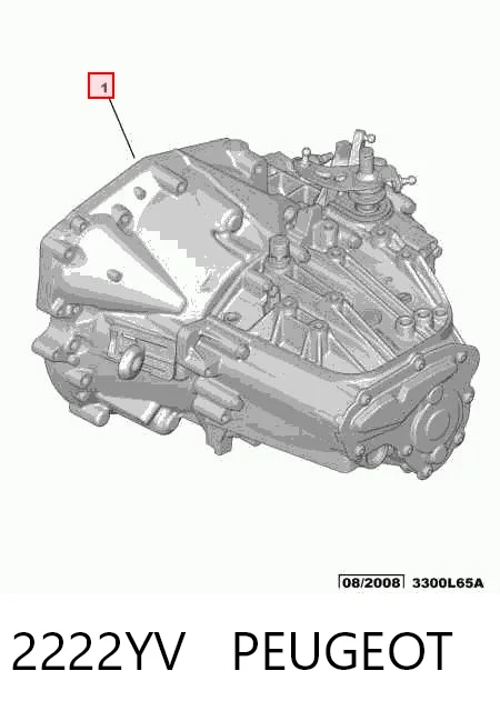 Compre Caixa de Mudança montada (caixa mecânica de velocidades) Peugeot 407 