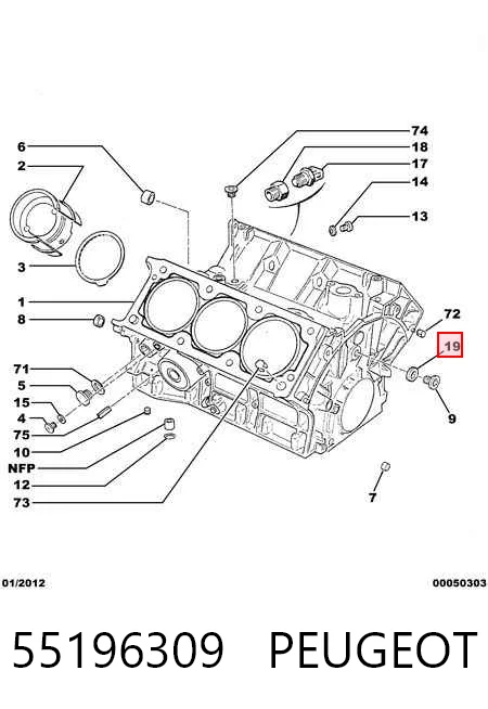 55196309 Peugeot/Citroen