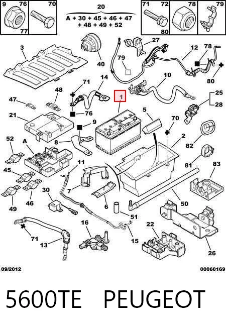 Compre 244101BN0A Renault (RVI) Bateria recarregável (PILHA)