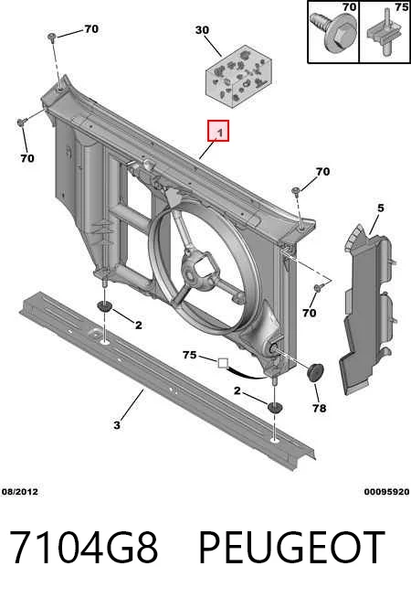 Compre Suporte do radiador montado (painel de montagem de fixação das luzes) Peugeot 206 