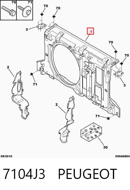 Compre Suporte do radiador montado (painel de montagem de fixação das luzes) Citroen C5 1