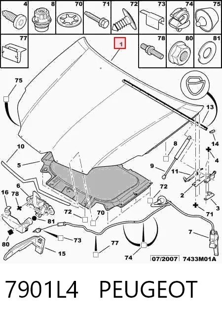  Capota Citroen C5 II hatchback (RC) (2004 - 2008) II