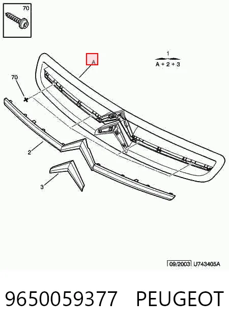 Compre Grelha do radiador Citroen Xsara 