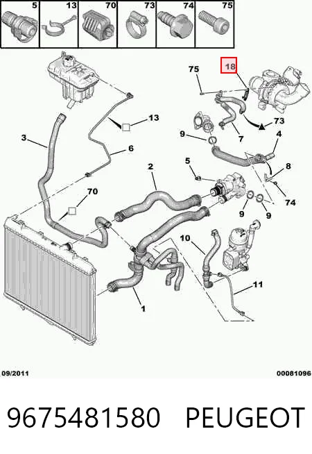 9675481580 Peugeot/Citroen