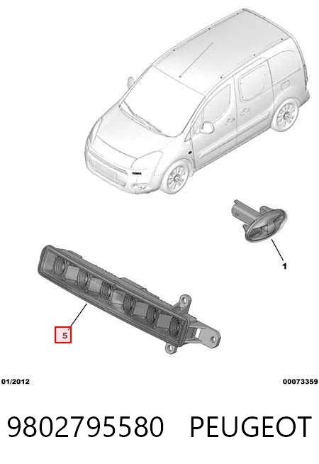 9802795580 Peugeot/Citroen