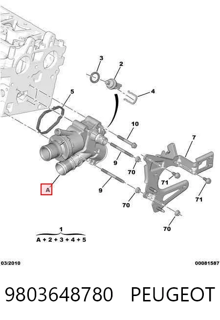 9803648780 Peugeot/Citroen