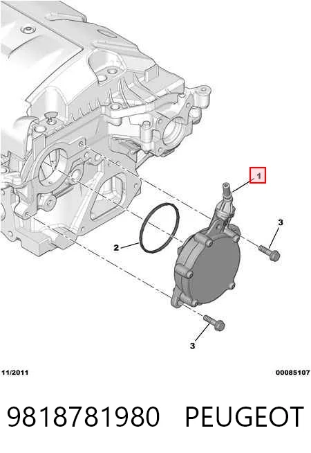 9818781980 Peugeot/Citroen Bomba a vácuo
