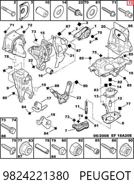 9824221380 Peugeot/Citroen
