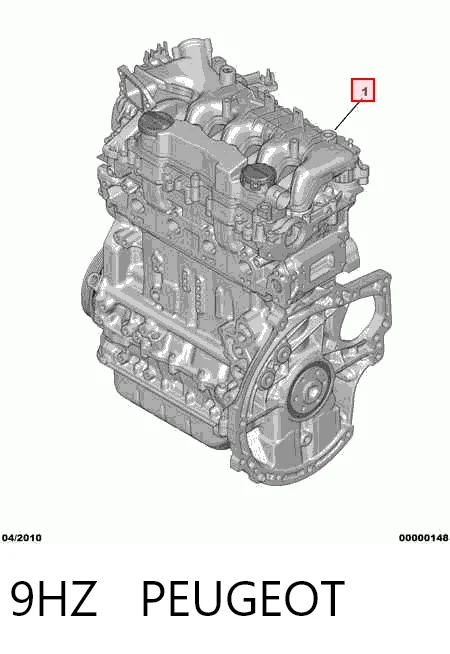 9HZ Peugeot/Citroen Motor montado