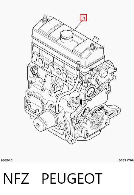 NFZ Peugeot/Citroen Motor montado