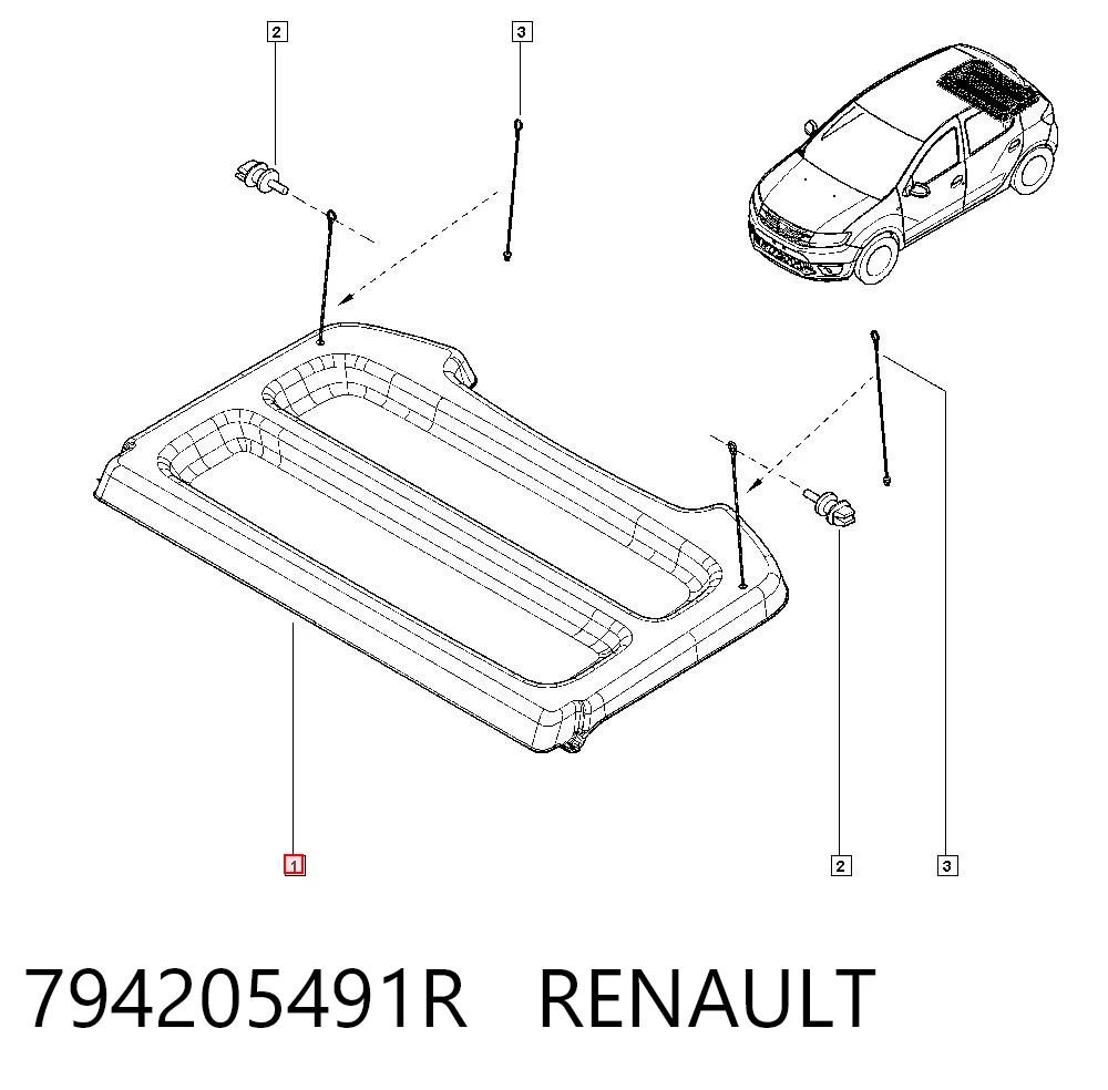 794205491R Renault (RVI)