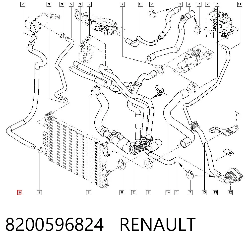 8200596824 Renault (RVI)