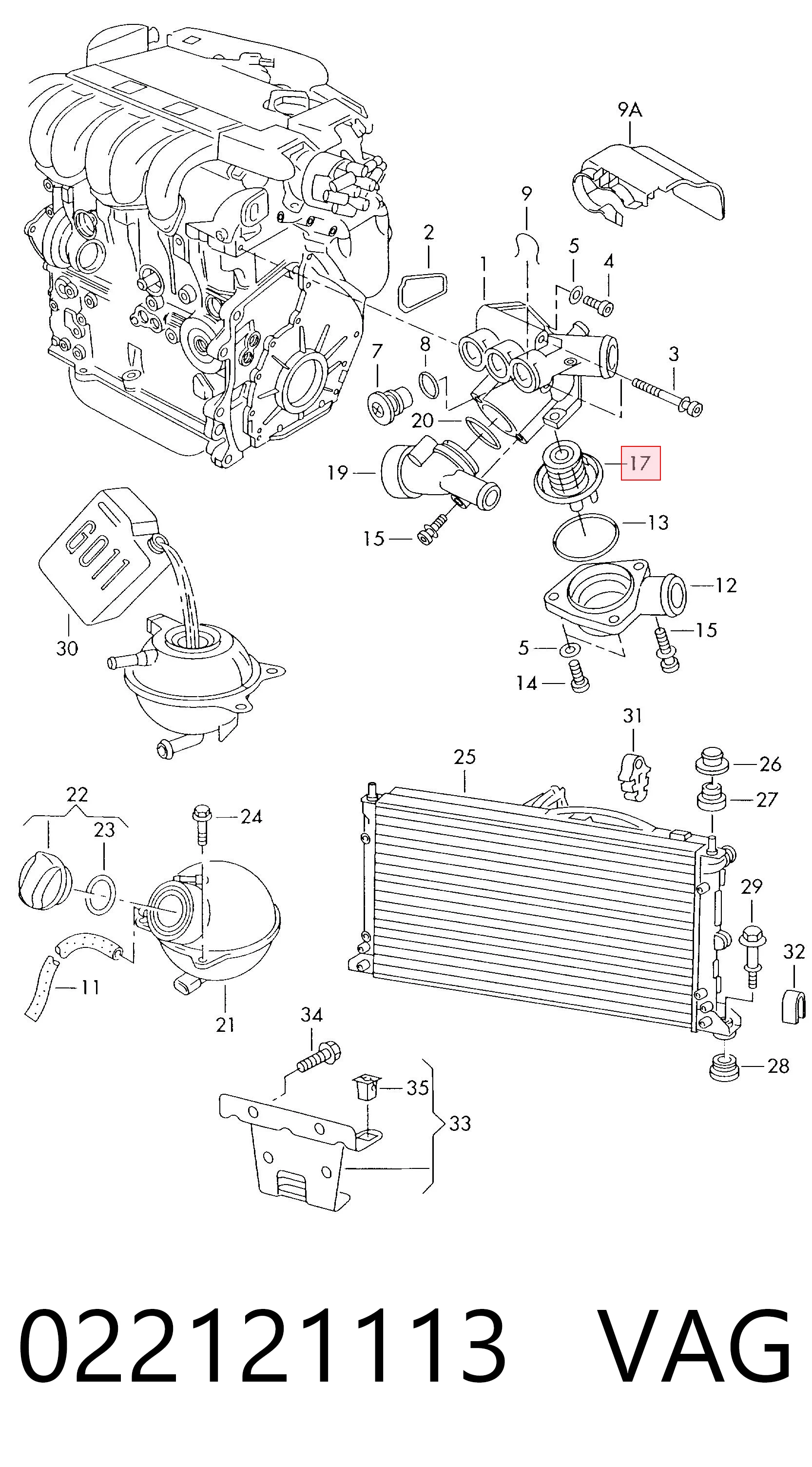 022121113 VAG Termostato