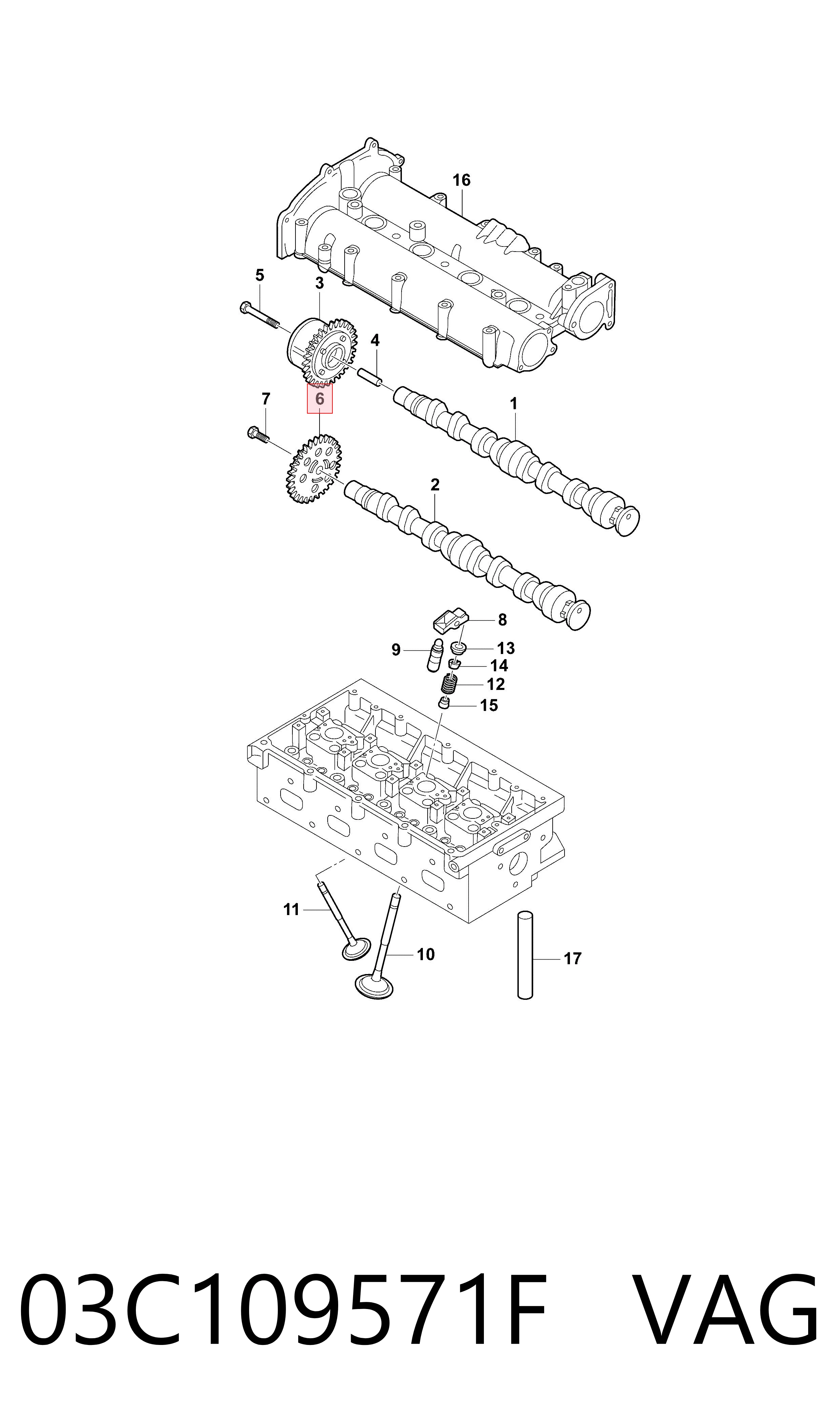 Compre 03C109571F VAG Engrenagem de cadeia da roda dentada da árvore distribuidora de motor