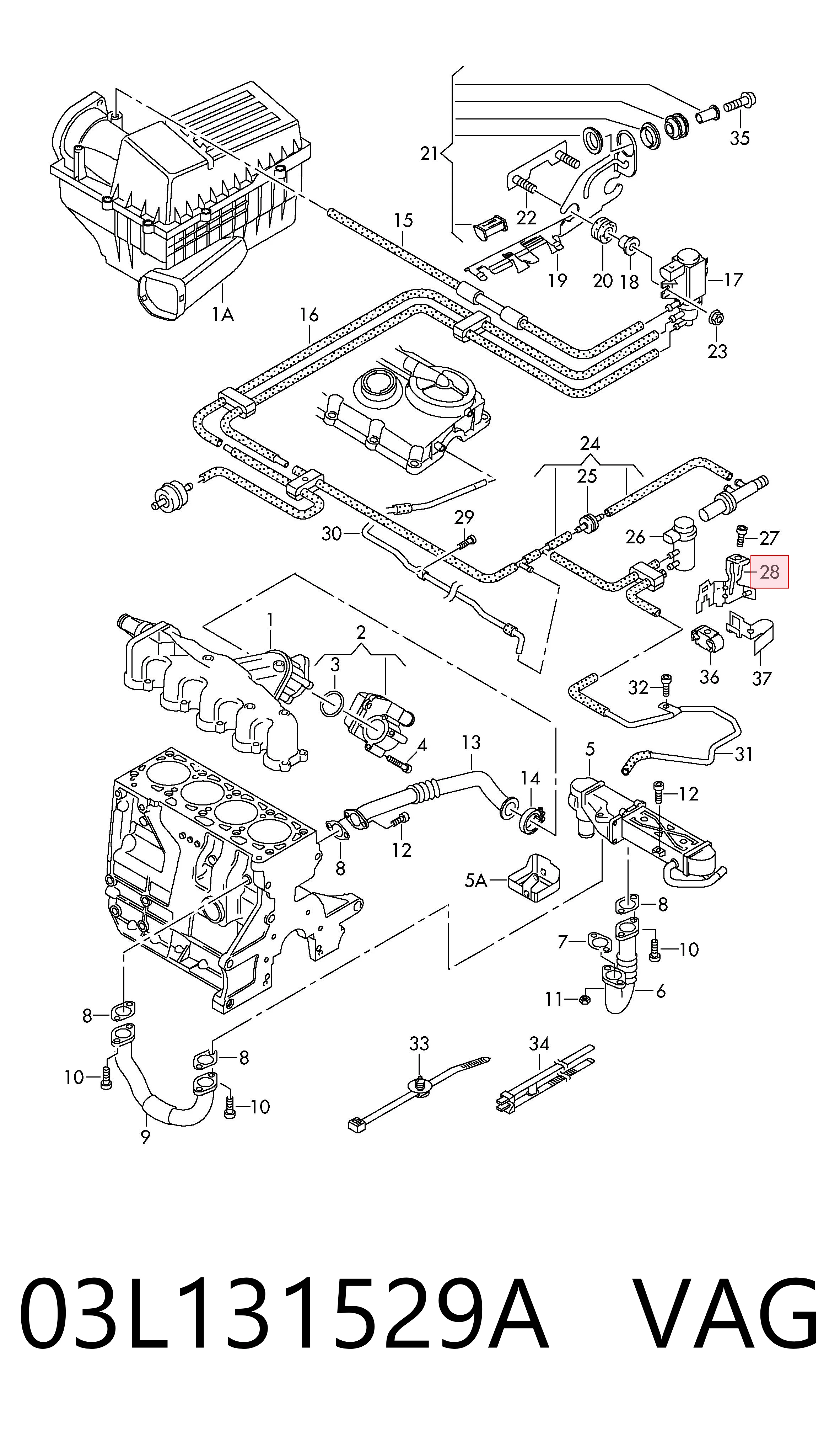 03L131529A VAG