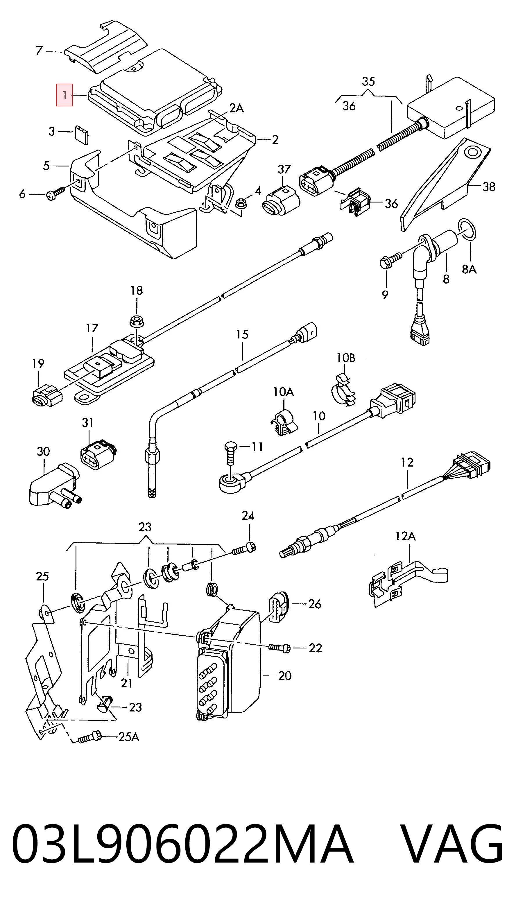 03L906022MA VAG