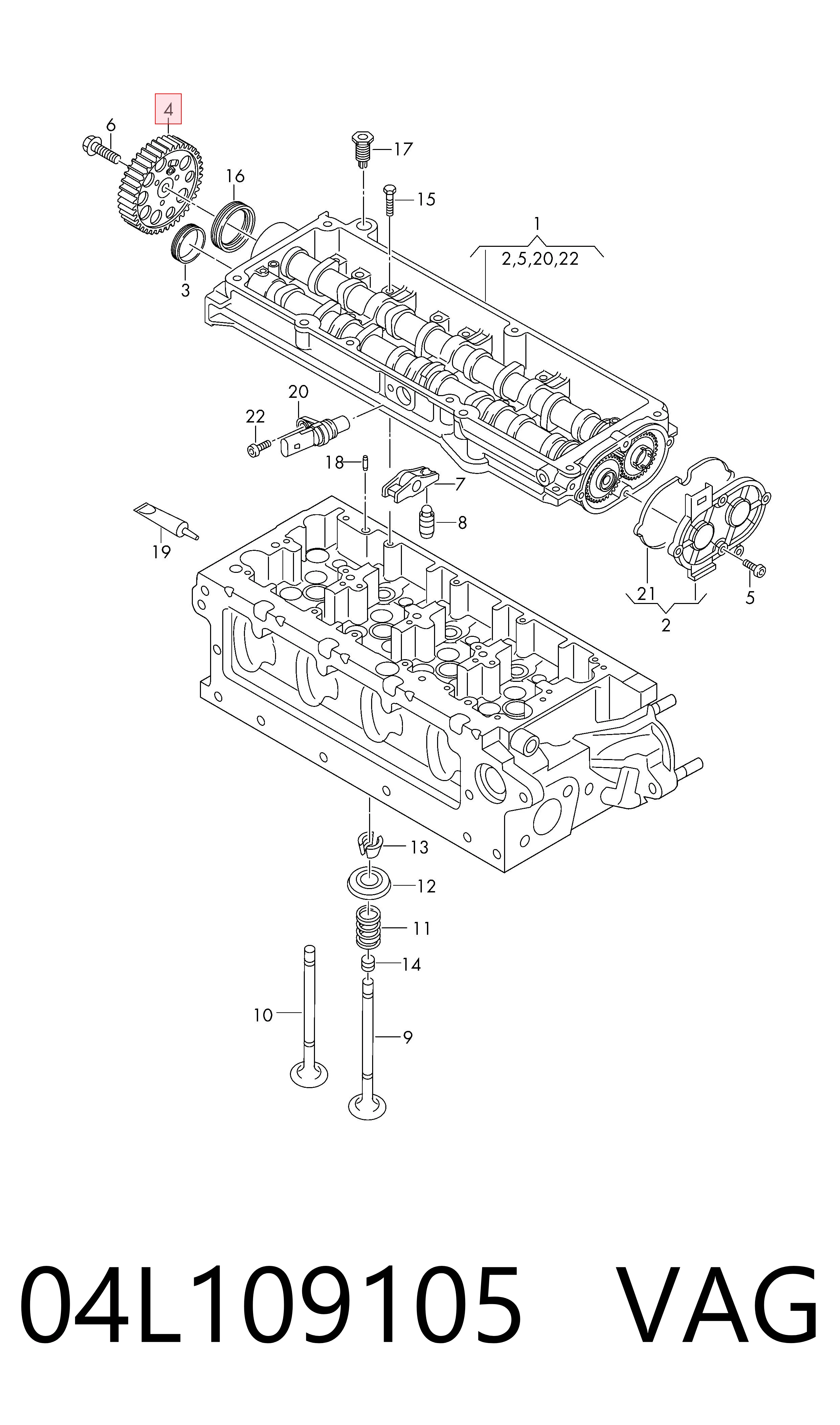 Engrenagem de cadeia da roda dentada da árvore distribuidora de motor Audi A3  8VS, 8VM