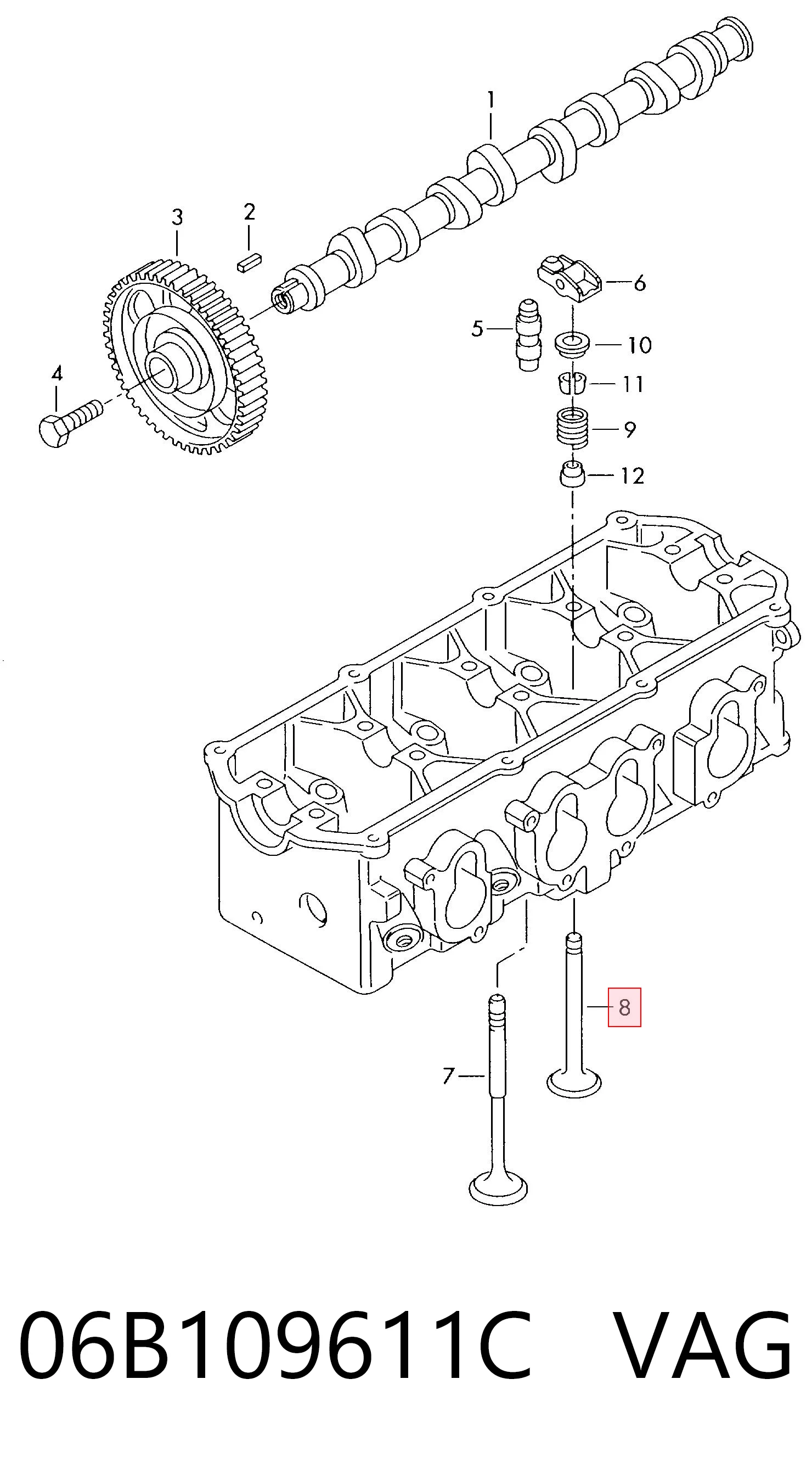 06B109611C VAG