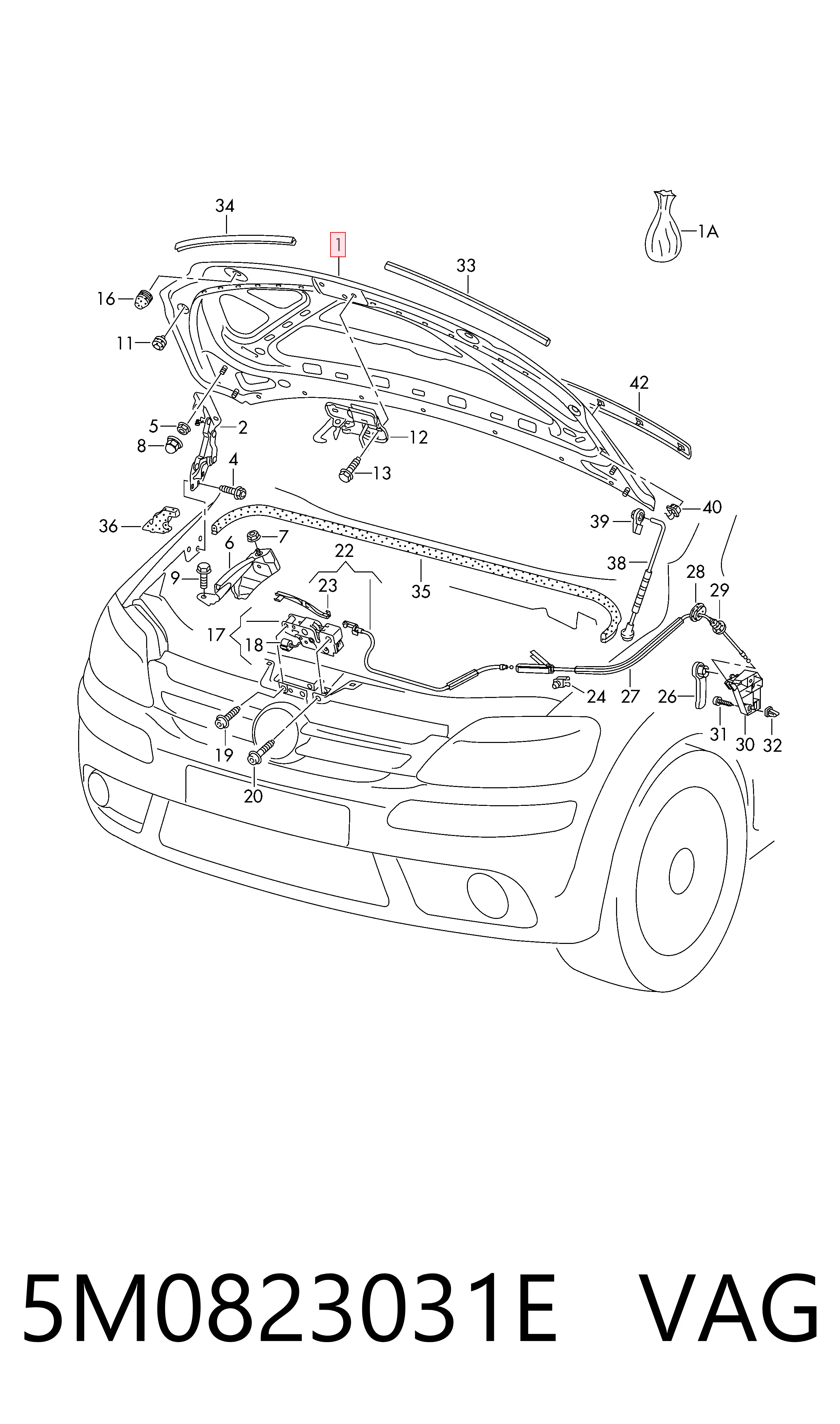  Capota Volkswagen Golf PLUS V hatchback (5M1, 521) (2004 - 2013) PLUS V
