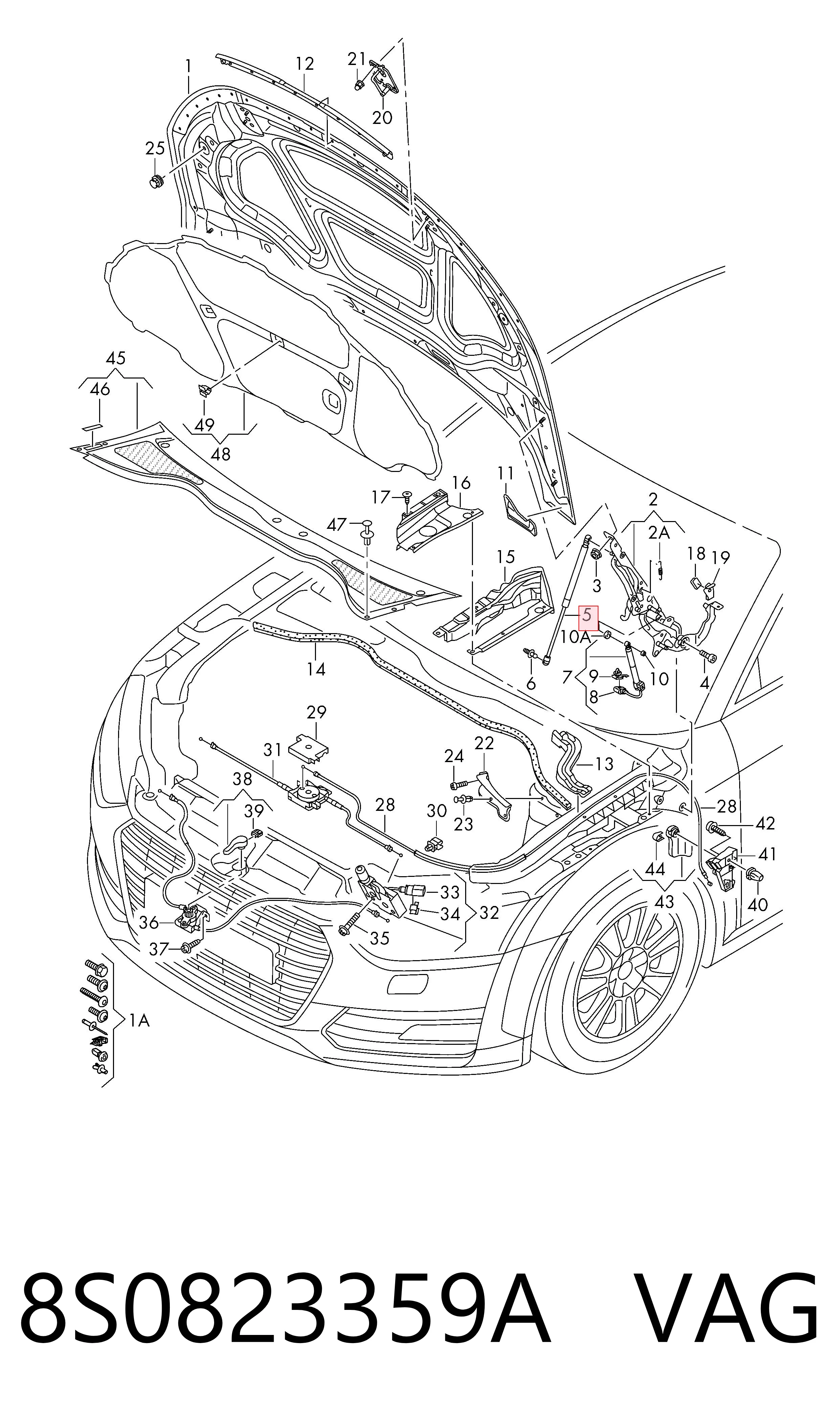 Amortecedor da capota Audi TT  FV3, FVP