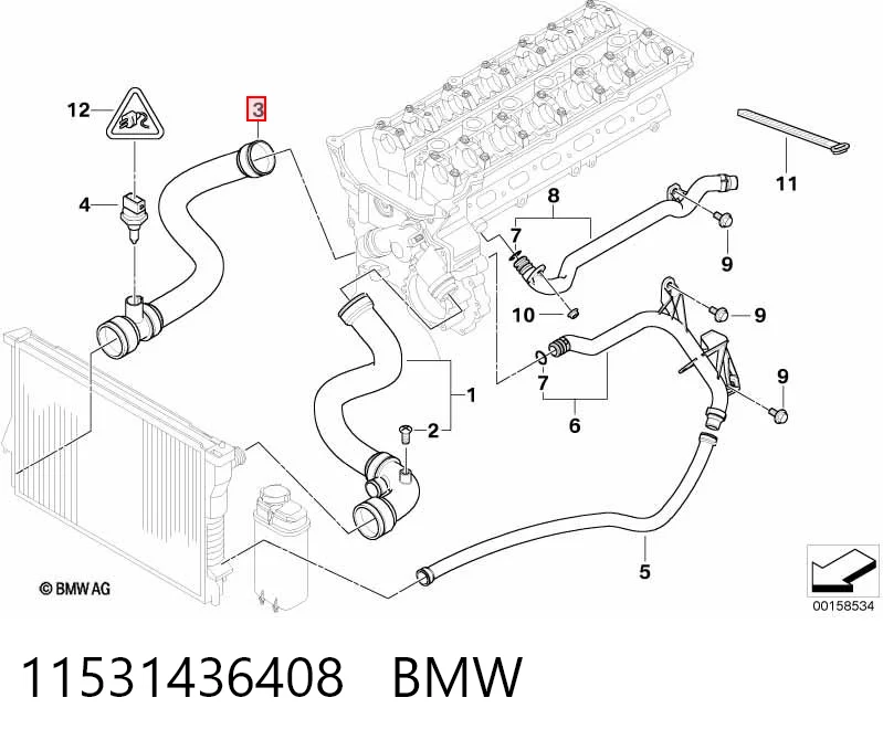 11531436408 BMW Mangueira (cano derivado) inferior do radiador de esfriamento