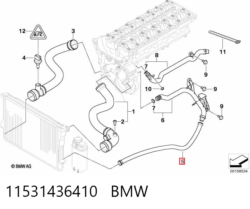 11531436410 BMW Mangueira (cano derivado) inferior do radiador de esfriamento