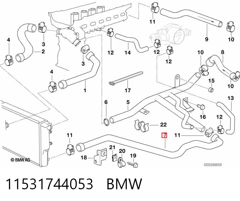11531744053 BMW Mangueira (cano derivado) inferior do radiador de esfriamento