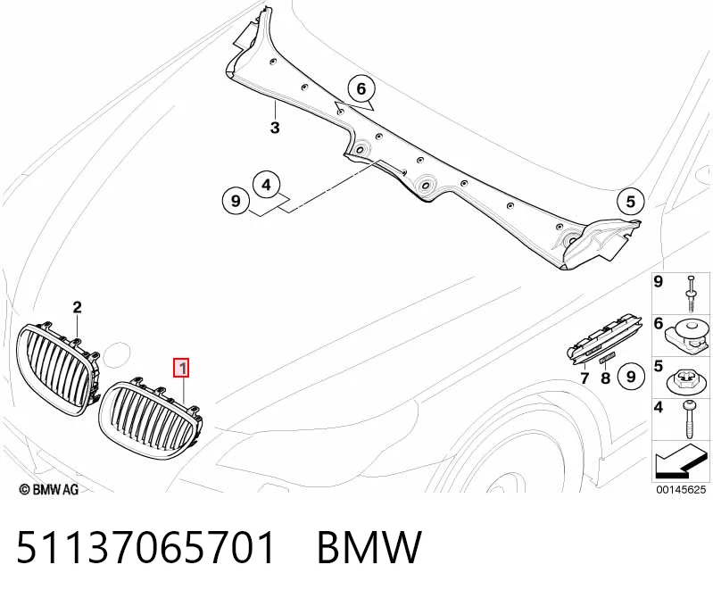 51137065701 BMW Grelha do radiador esquerda
