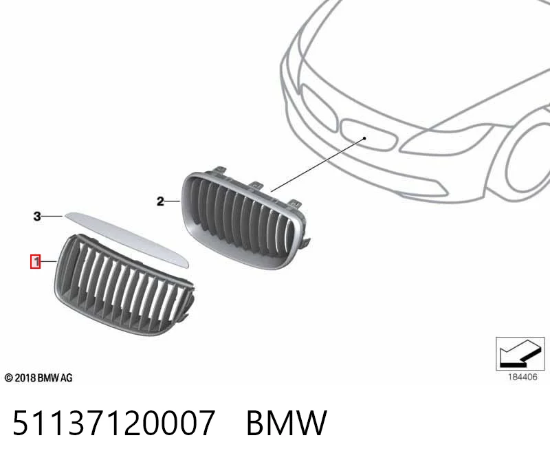 51137120007 BMW Grelha do radiador esquerda