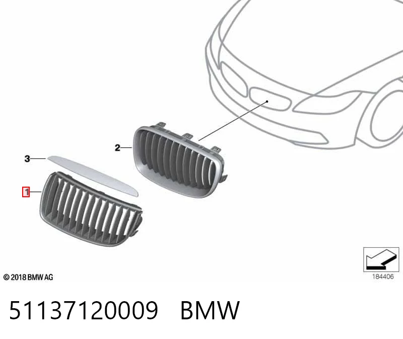 51137120009 BMW Grelha do radiador esquerda