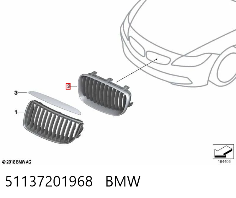 51137201968 BMW Grelha do radiador direita