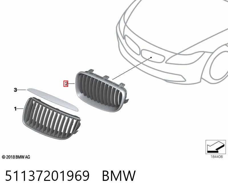 51137201969 BMW Grelha do radiador esquerda