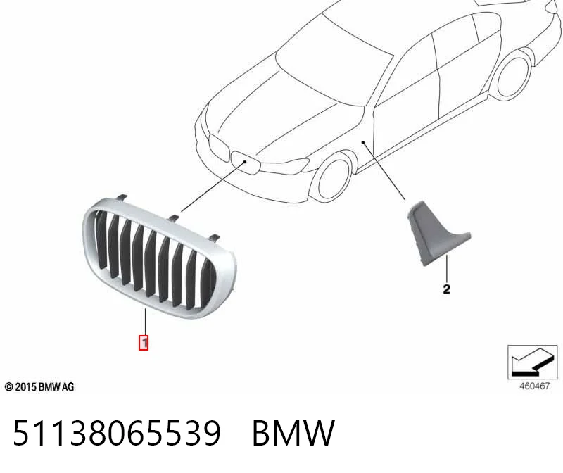 51138065539 BMW Grelha do radiador