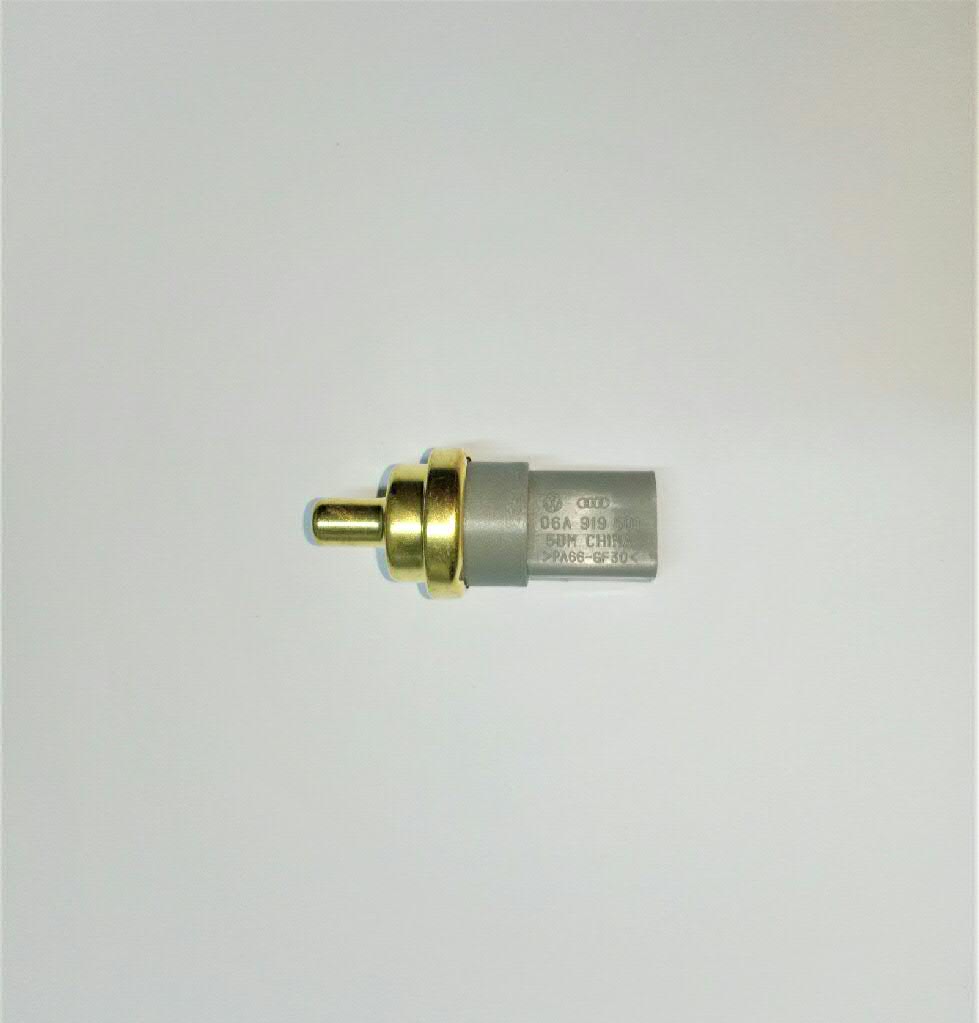 06A919501 VAG
