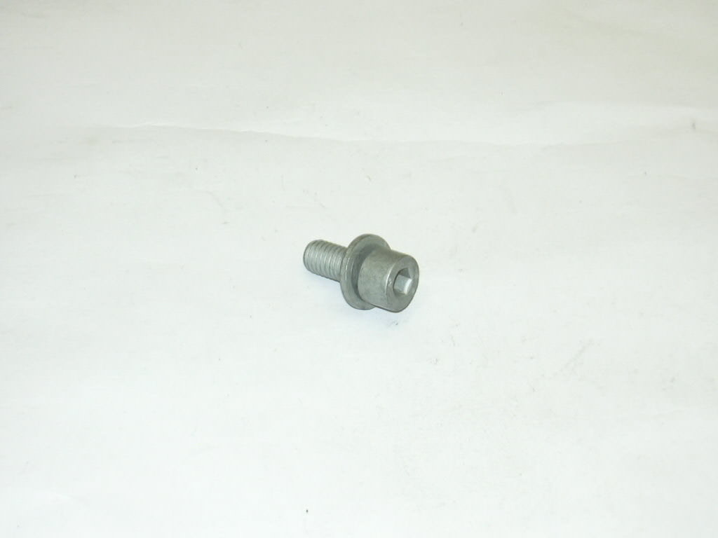 N10055703 VAG