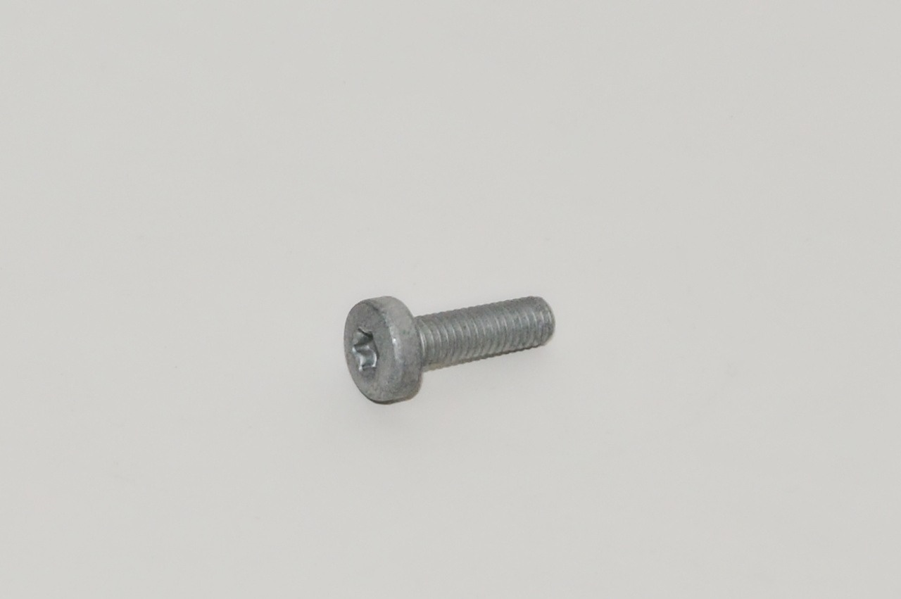 N10124306 VAG Parafuso