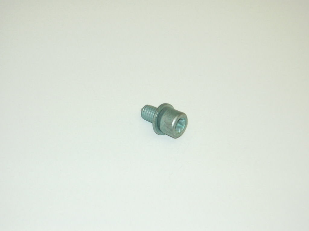N10347701 VAG