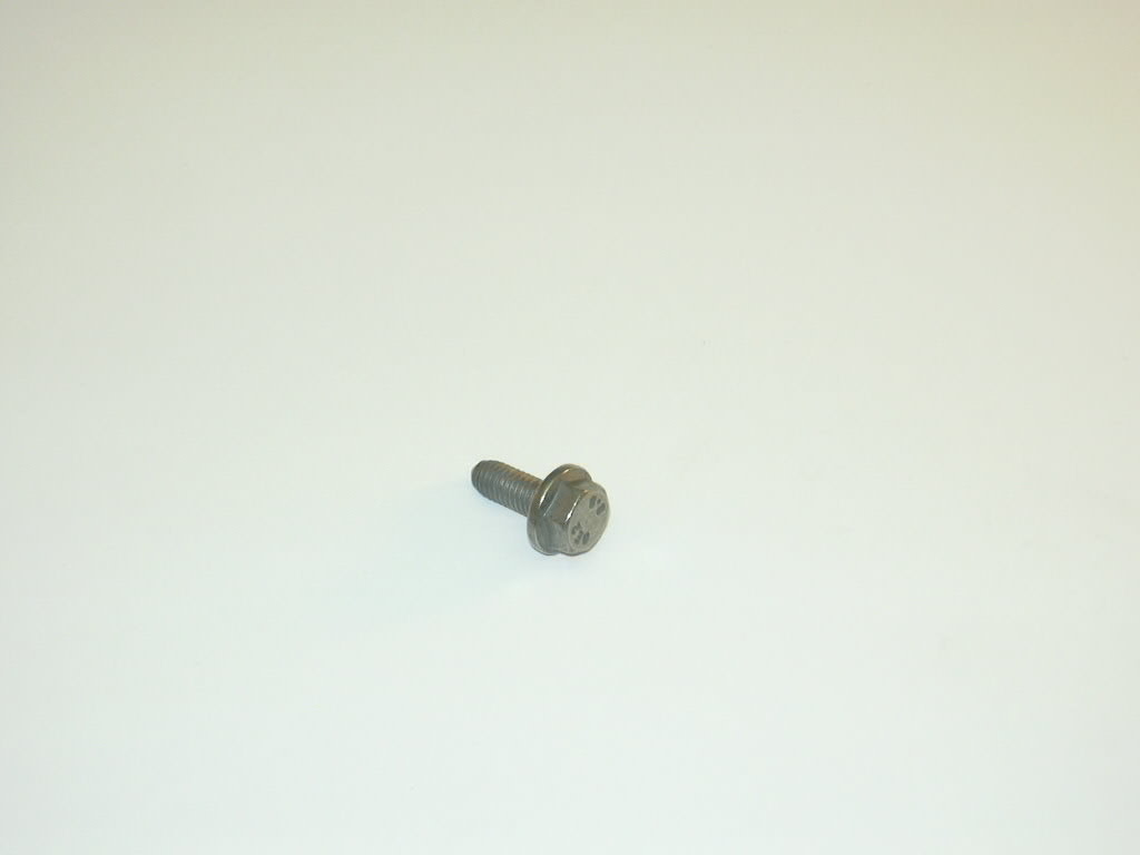 N10653201 VAG Parafuso